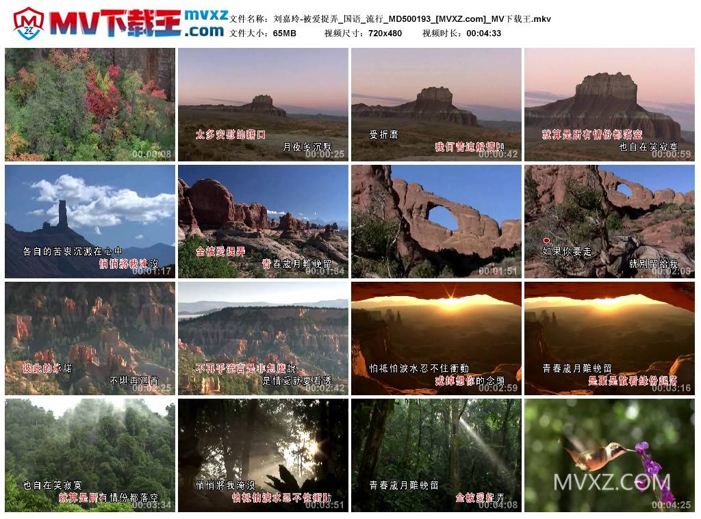 刘嘉玲-被爱捉弄_国语_流行_MD500193